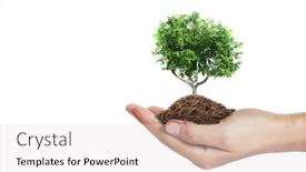  Presentation with hands holding - Presentation theme with human-hands-holding-sprout-young background and a light gray colored foreground