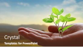  Presentation with young plant - Presentation design having human-hands-holding-sprout-young background and a tawny brown colored foreground