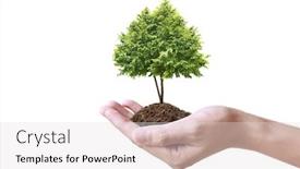  Presentation with earth day - Colorful PPT layouts enhanced with human-hands-holding-sprout-young backdrop and a light gray colored foreground