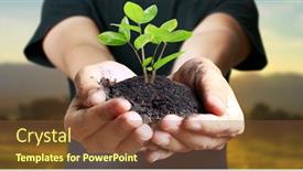  Presentation with young plant - Cool new presentation design with human-hands-holding-sprout-young backdrop and a tawny brown colored foreground