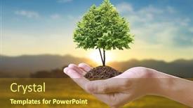  Presentation with young plant - Slide deck enhanced with human-hands-holding-sprout-young background and a tawny brown colored foreground