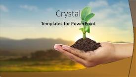 Presentation with sprout - Slides with human-hands-holding-sprout-young background and a light blue colored foreground