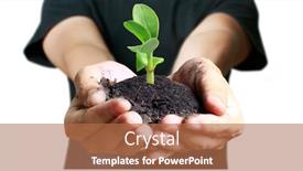  Presentation with earth day - Audience pleasing slides consisting of human-hands-holding-sprout-young backdrop and a coral colored foreground