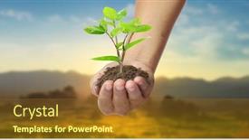  Presentation with sprout - Amazing theme having human-hands-holding-sprout-young backdrop and a tawny brown colored foreground