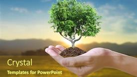  Presentation with young plant - Cool new theme with human-hands-holding-sprout-young backdrop and a tawny brown colored foreground