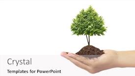  Presentation with young plant - Slide set having human-hands-holding-sprout-young background and a sky blue colored foreground