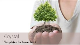  Presentation with sprout - PPT theme with human-hands-holding-sprout-young background and a coral colored foreground