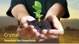  Presentation with sprout - PPT theme enhanced with human-hands-holding-sprout-young background and a tawny brown colored foreground