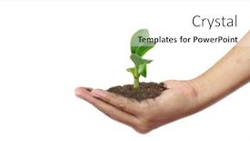  Presentation with young plant - Amazing presentation theme having human-hands-holding-sprout-young backdrop and a white colored foreground