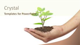  Presentation with sprout - Beautiful slide deck featuring human-hands-holding-sprout-young backdrop and a cream colored foreground
