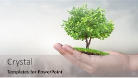  Presentation with hands holding - PPT theme featuring human-hands-holding-sprout-young background and a light gray colored foreground