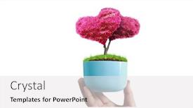  Presentation with young plant - Amazing PPT theme having human-hands-holding-sprout-young backdrop and a white colored foreground