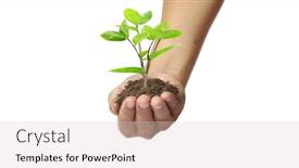  Presentation with sprout - Colorful theme enhanced with human-hands-holding-sprout-young backdrop and a lemonade colored foreground
