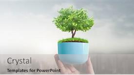  Presentation with sprout - Slide set featuring human-hands-holding-sprout-young background and a light gray colored foreground