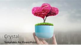  Presentation with sprout - Presentation design enhanced with human-hands-holding-sprout-young background and a light gray colored foreground