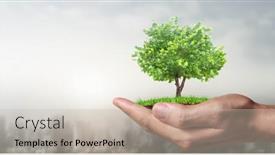  Presentation with sprout - Presentation consisting of human-hands-holding-sprout-young background and a soft green colored foreground