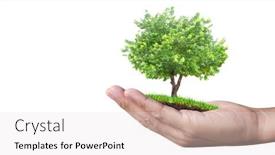  Presentation with young plant - Presentation theme having human-hands-holding-sprout-young background and a lemonade colored foreground