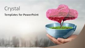  Presentation with sprout - Audience pleasing PPT layouts consisting of human-hands-holding-sprout-young backdrop and a white colored foreground