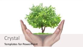  Presentation with young plant - Colorful slide set enhanced with human-hands-holding-sprout-young backdrop and a lemonade colored foreground