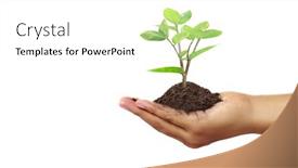  Presentation with sprout - Audience pleasing presentation design consisting of human-hands-holding-sprout-young backdrop and a white colored foreground