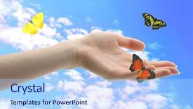  Presentation with human hands open palm up - Presentation design consisting of human hands with butterfly background and a light blue colored foreground
