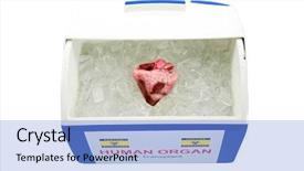  Presentation with transplant - Amazing slides having human heart for organ transplant backdrop and a light blue colored foreground