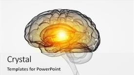  Presentation with human brain - Presentation design featuring human intelligence with human brain background and a white colored foreground