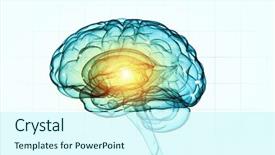  Presentation with human brain - Presentation theme consisting of human intelligence with human brain background and a cool aqua colored foreground