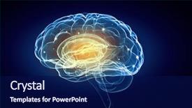  Presentation with human brain - Amazing presentation theme having human intelligence with human brain backdrop and a navy blue colored foreground