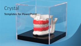  Presentation with human anatomy - Theme having human-jaw-with-teeth-implants background and a light blue colored foreground