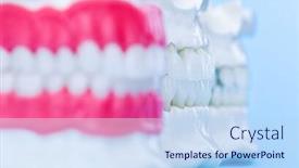  Presentation with orthodontic - Colorful PPT theme enhanced with human-jaws-with-teeth backdrop and a light blue colored foreground
