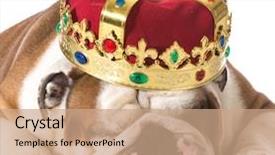  Presentation with crucifixion crown - Slide deck having human king - dog wearing crown isolated background and a coral colored foreground