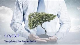  Presentation with green tree - Theme having human liver - close up of businessman holding background and a lemonade colored foreground