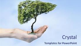  Presentation with liver - Presentation design featuring human liver - close up of hand holding background and a sky blue colored foreground