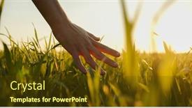  Presentation with green moving - Presentation theme enhanced with human-man-s-hand-moving background and a tawny brown colored foreground