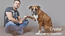  Presentation with skeletal muscle - Colorful presentation design enhanced with human muscles - image of a handsome muscle backdrop and a violet colored foreground