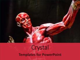 Premium Template for PowerPoint & Google Slides (nhnounppn)
