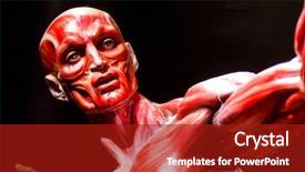  Presentation with skin anatomy - Presentation having human muscles anatomy model background and a crimson colored foreground