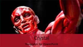  Presentation with skin anatomy - Colorful PPT theme enhanced with human muscles anatomy model backdrop and a crimson colored foreground