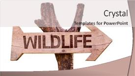  Presentation with group of wildlife crocodile isolated - Colorful PPT layouts enhanced with human organism - wildlife wooden sign isolated backdrop and a  colored foreground