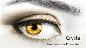  Presentation with golden woman - Slides with human rights women - b w photo background and a soft green colored foreground