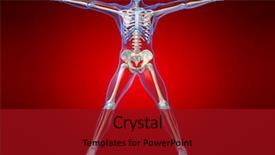  Presentation with human anatomy - Colorful PPT theme enhanced with human skeleton backdrop and a crimson colored foreground
