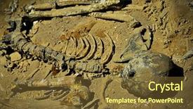  Presentation with human anatomy - Amazing presentation having human skeleton backdrop and a tawny brown colored foreground