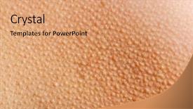  Presentation with skin - PPT theme having human skin with goosebumps background and a coral colored foreground