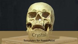  Presentation with spooky - Colorful presentation theme enhanced with human-skull-halloween-human-skull backdrop and a coral colored foreground