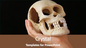  Presentation with human body - Audience pleasing theme consisting of decompose body - human skull in hand backdrop and a coral colored foreground