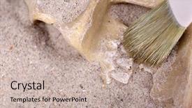  Presentation with brush - Beautiful presentation featuring homosapiens - human skull in sand backdrop and a soft green colored foreground