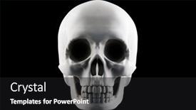 Presentation with skull - PPT theme consisting of human-skull-isolated-on-black background and a black colored foreground