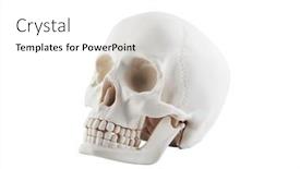  Presentation with skull - PPT layouts with human-skull-isolated-on-white background and a white colored foreground