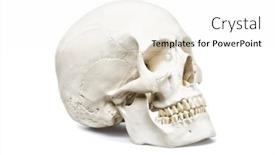  Presentation with skull - PPT theme consisting of human-skull-model-side-view background and a white colored foreground